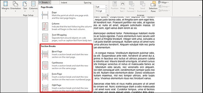 Insert Word Section Breaks for Independent Layout Regions
